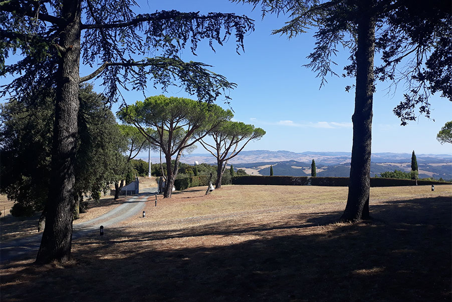 Panoramic view